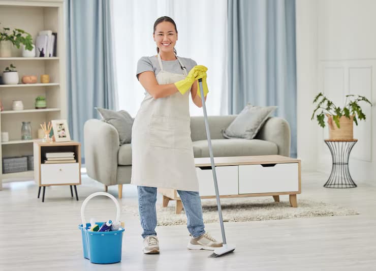 Domestic cleaning service
